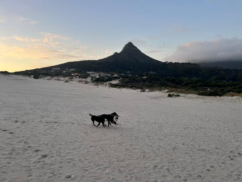 1 Bedroom Property for Sale in Helgarda Estate Western Cape